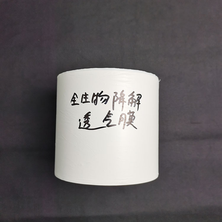 東莞環(huán)保膠袋生產(chǎn)廠(chǎng)家